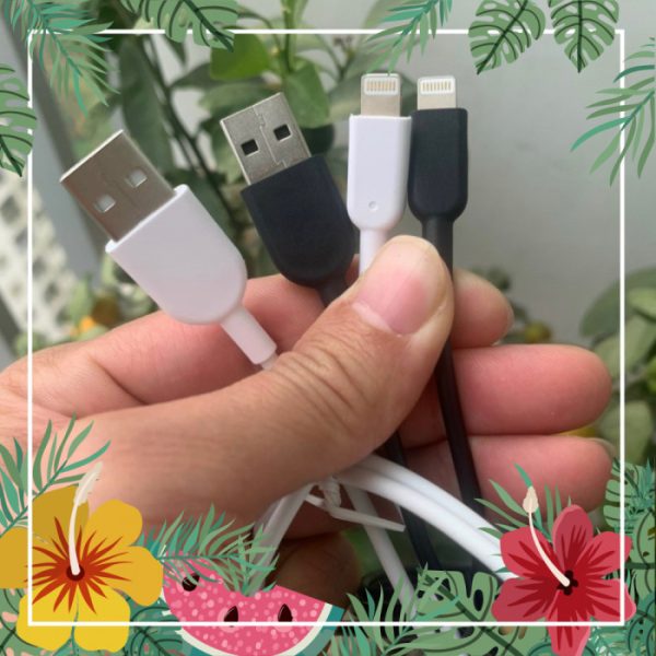 Cáp sạc nhanh IPhone 1.2m