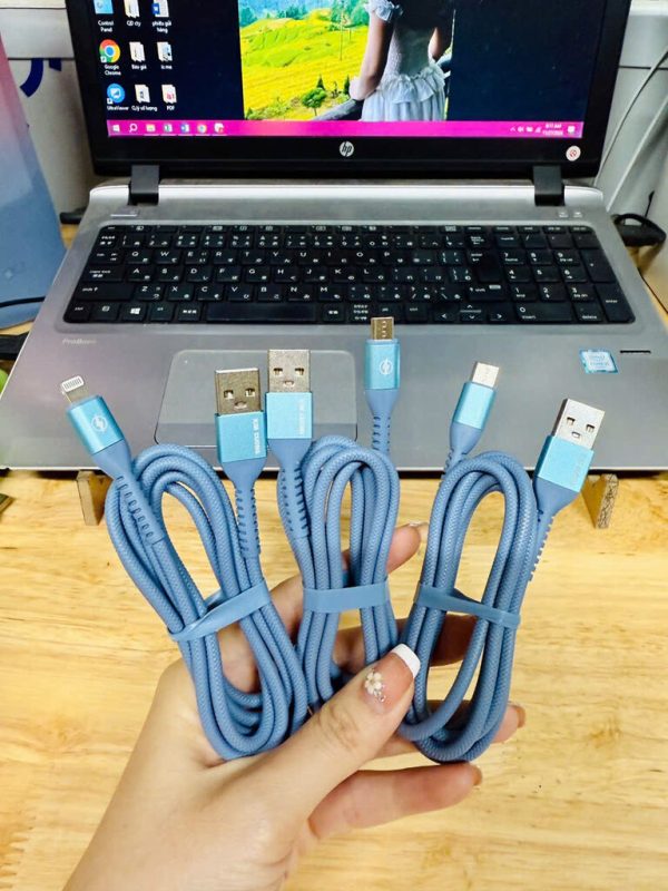 Cáp sạc hãng Kim Cương (Model D32)