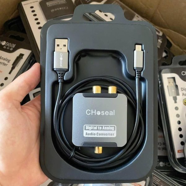 Bộ chuyển đổi tín hiệu Digital sang Analog Choseal AQ5601